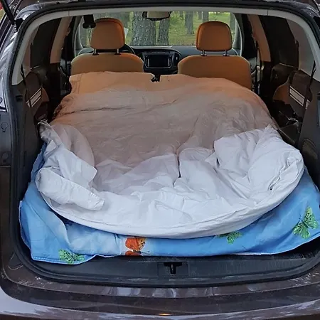 Camping Freedom טאלין