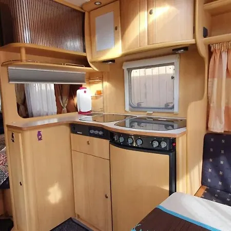 אתר קמפינג Camping Freedom טאלין